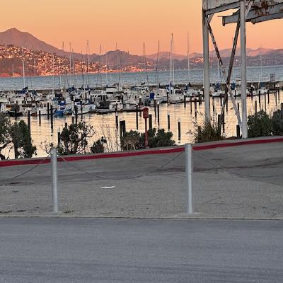 coyote-on-the-waterfront.jpg